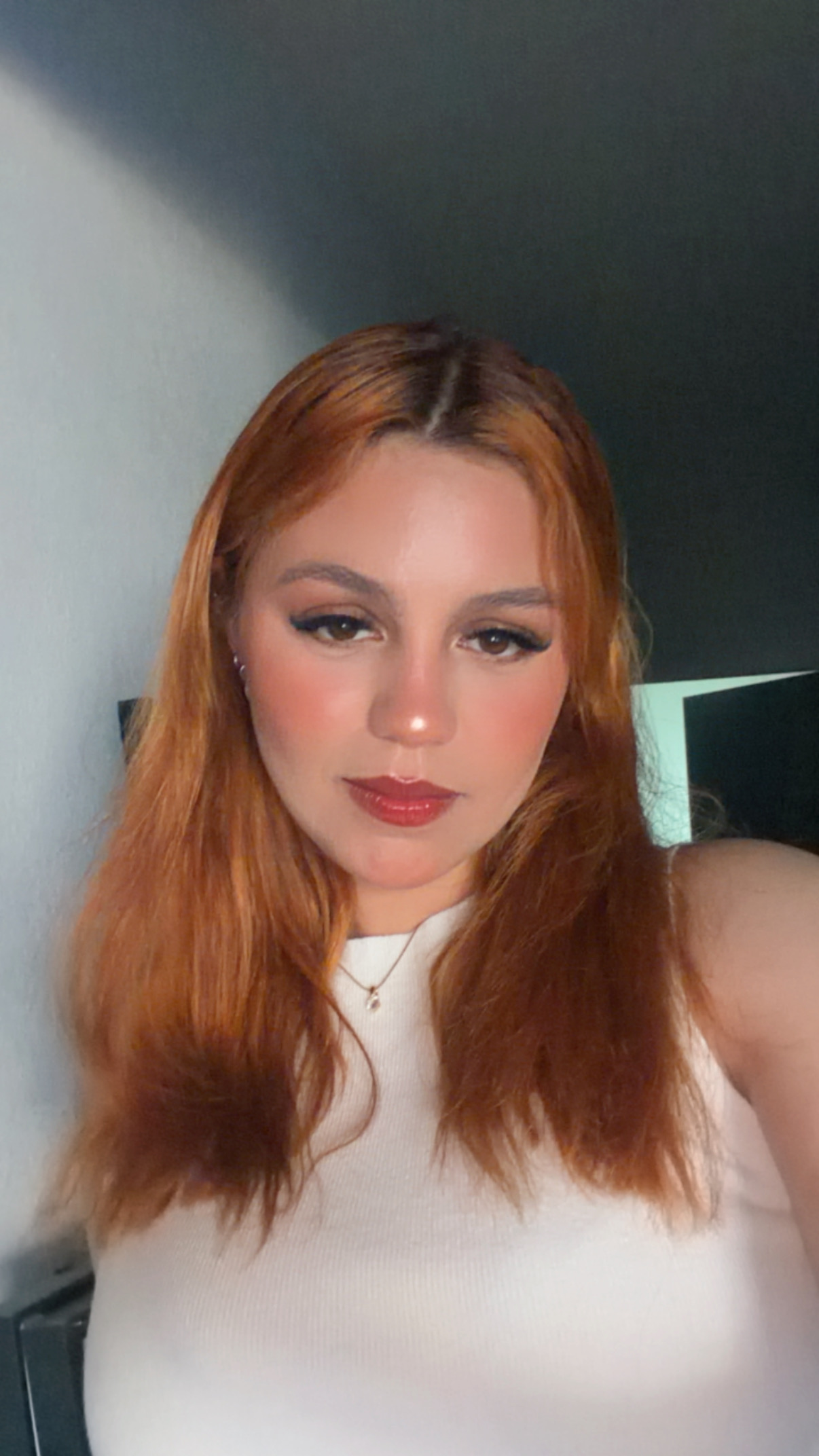 Laisha Aispuro Valles
