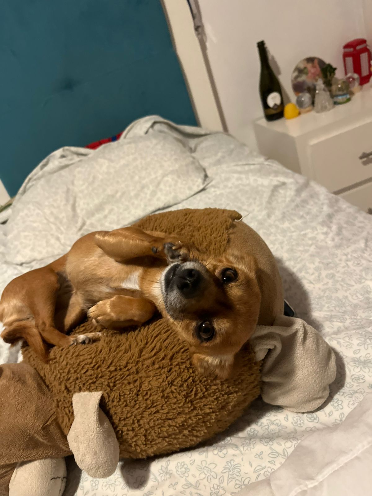 Jorge Artemio De La Peña Alcalá