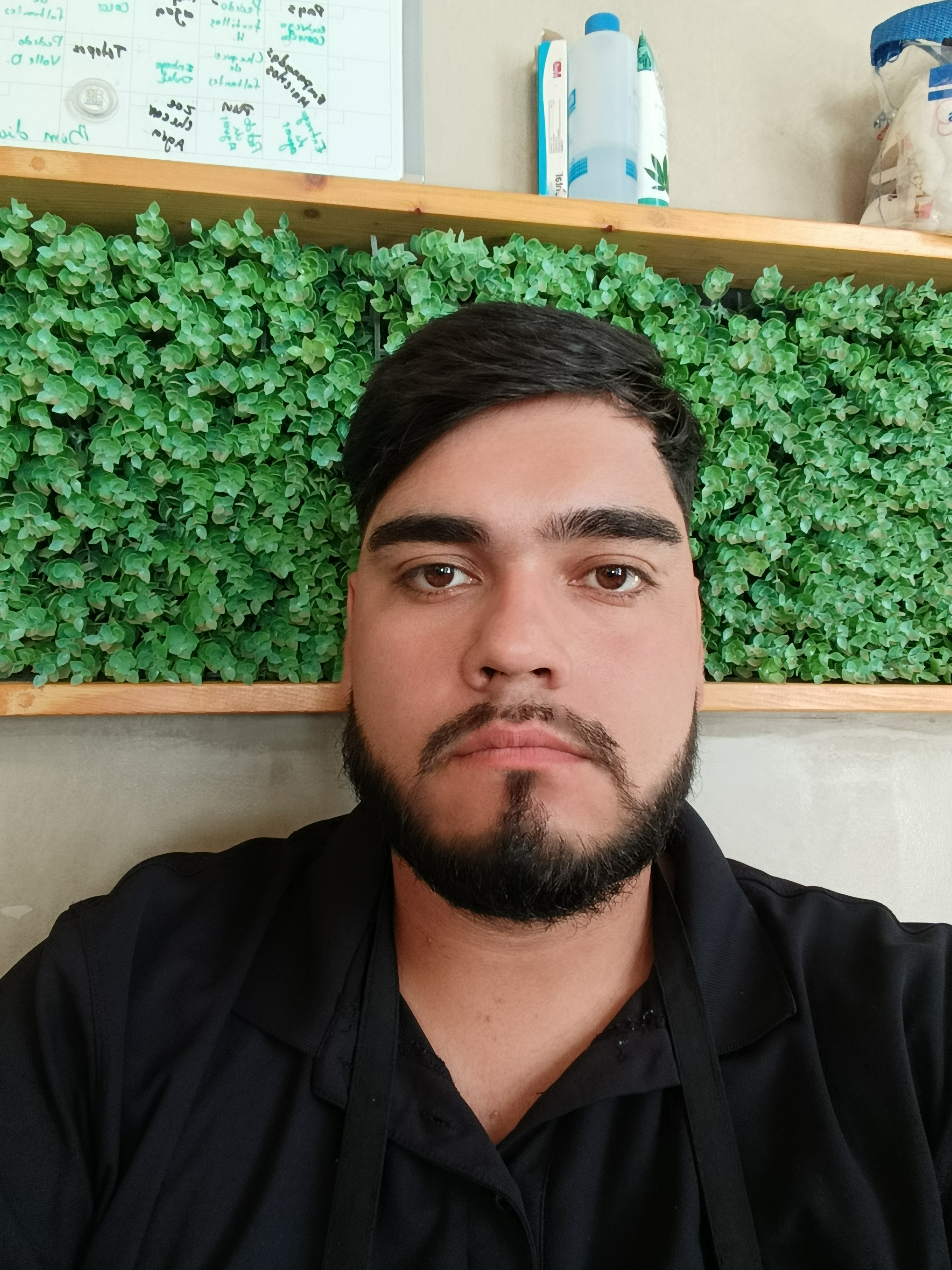 Fabián Sánchez laurel sandez