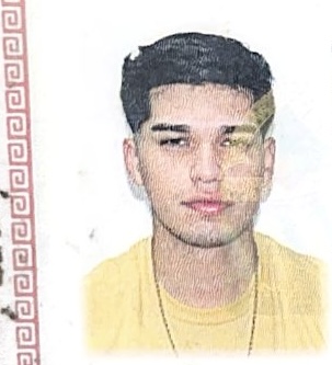 Luis David Estrella Toledo