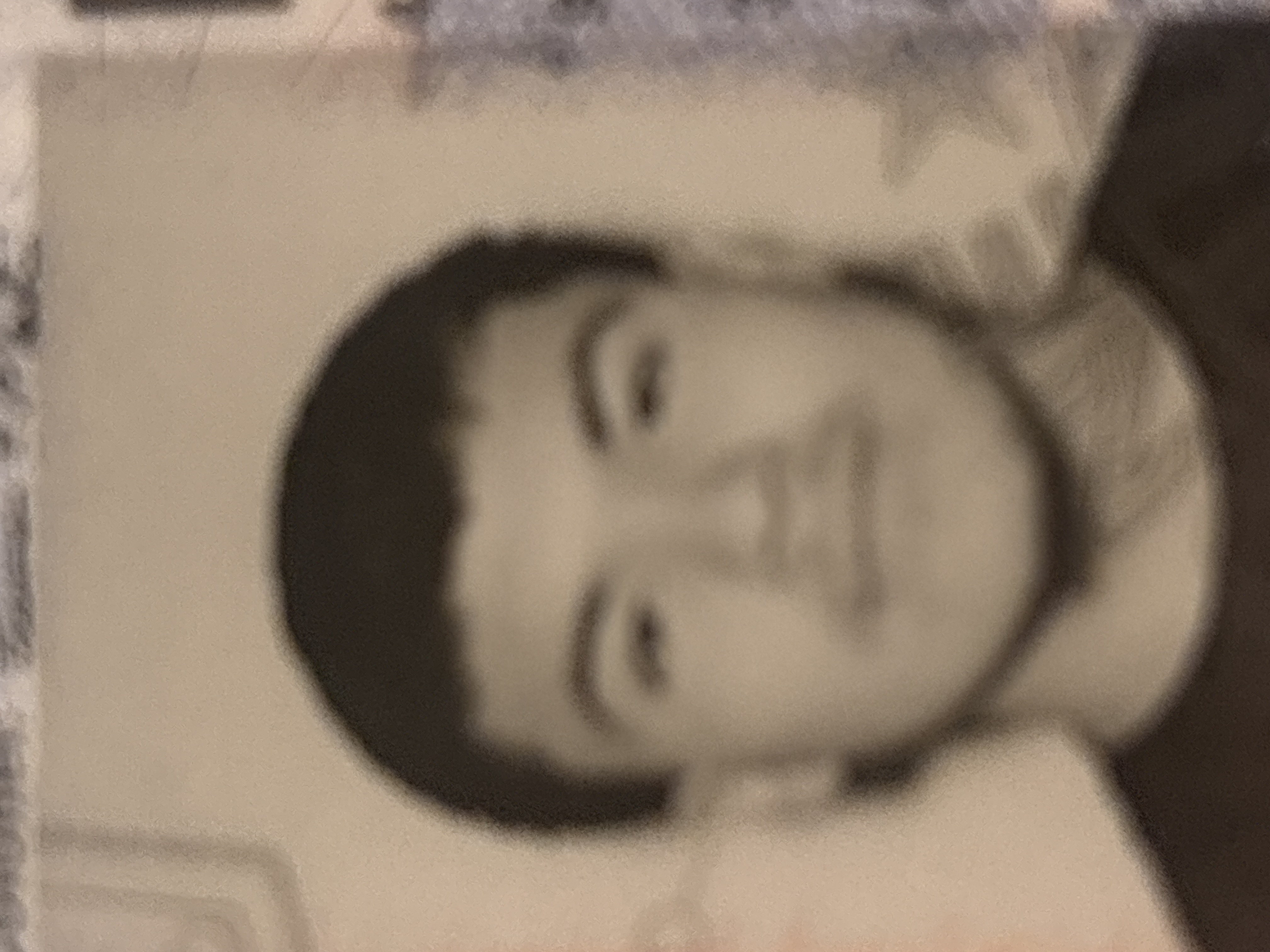 Gerardo Armando Loera