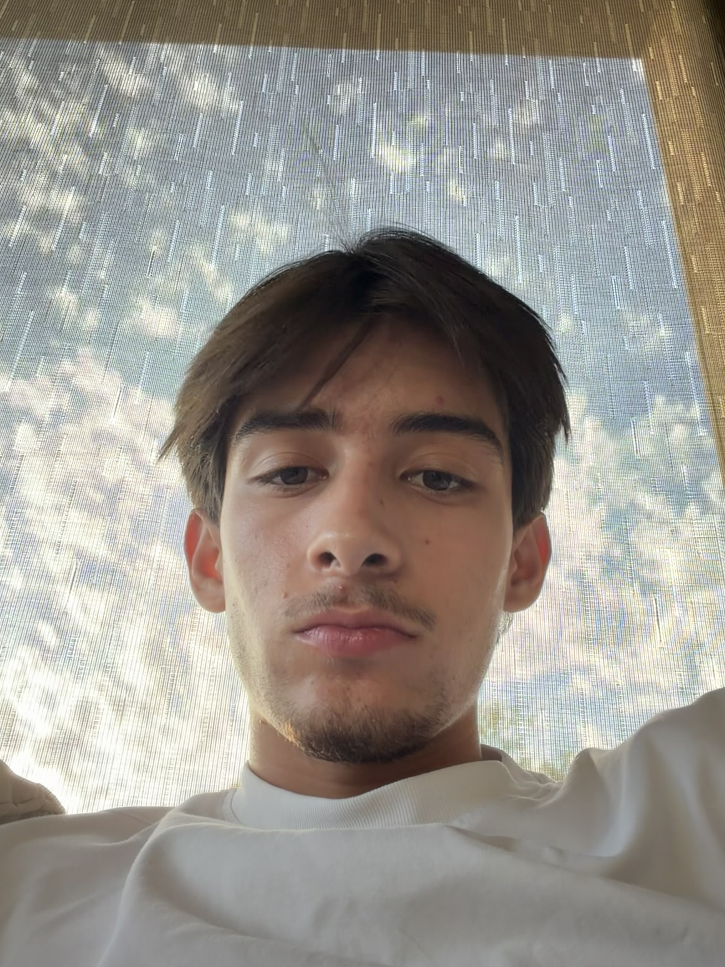 Sebastian Blancarte Anaya