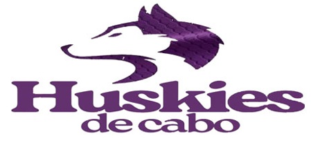 huskies de los cabos