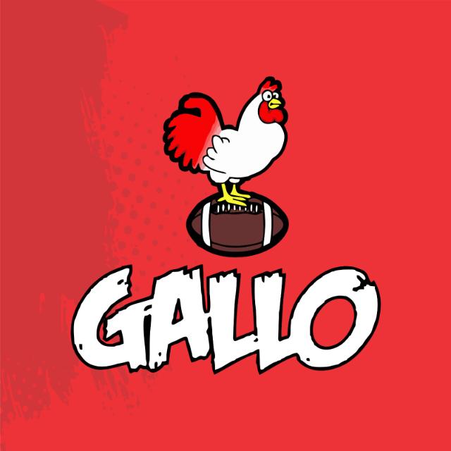 Gallo Team