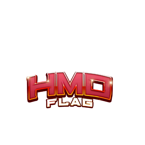 SELECCION HMO FLAG