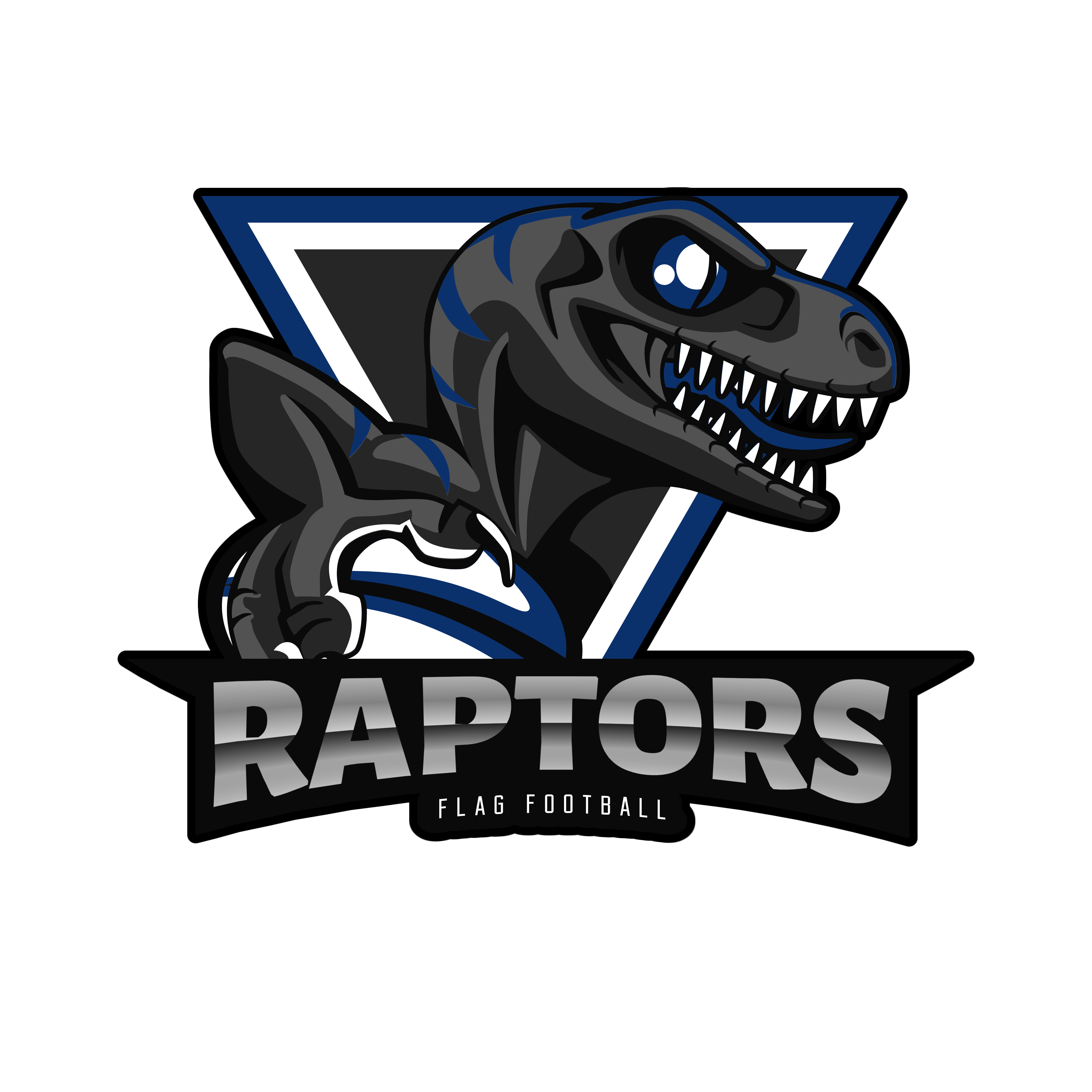 Raptors